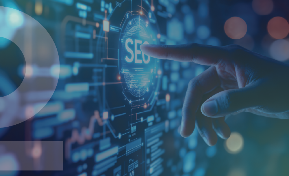 Why choose SEO Hosting for a successful SEO website