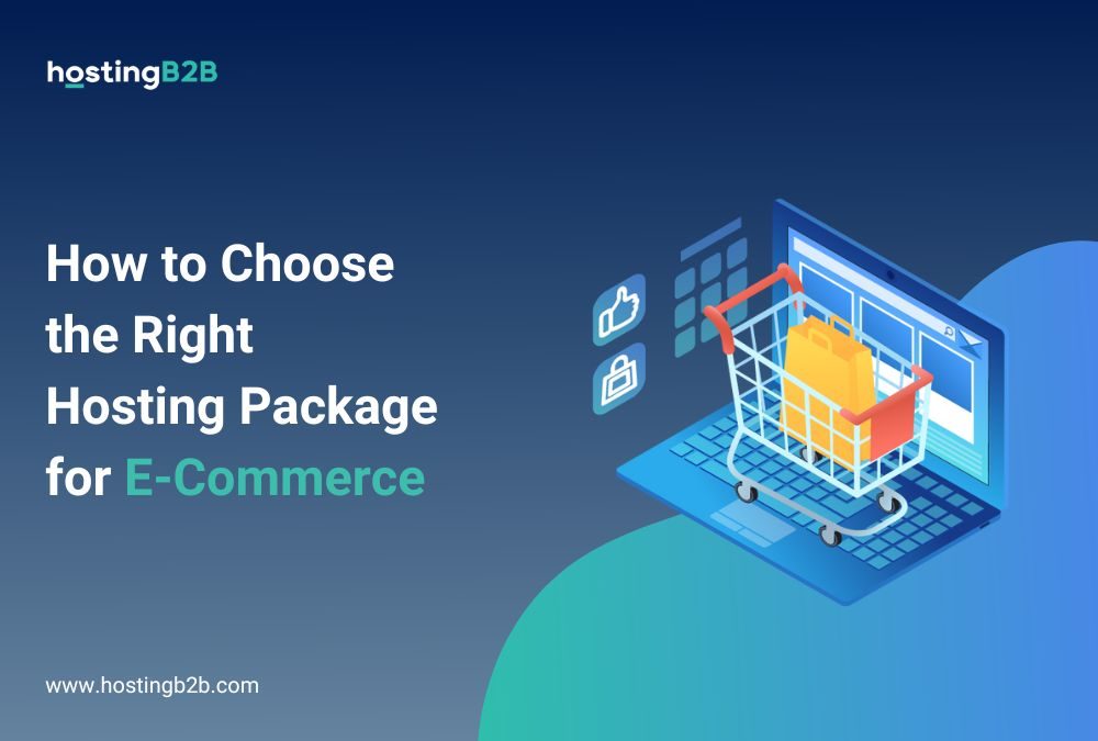 How to Choose the Right Hosting Package for E-Commerce - HostingB2B