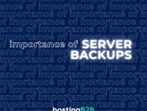 The Importance of Server Backups: Safeguarding Data and Ensuring Business Continuity