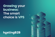 Unlocking the Power of VPS Hosting: Why It’s the Smart Choice for Growing Businesses