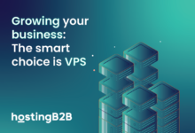 Unlocking the Power of VPS Hosting: Why It’s the Smart Choice for Growing Businesses