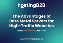 The Advantages of Bare Metal Servers for High-Traffic Websites