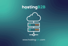 Power, Compliance, and Strategic Advantage of VPS Hosting with HostingB2B 