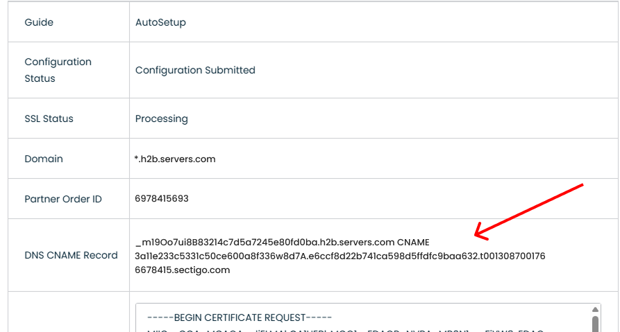 HostingB2B SSL re-issue screen displaying the DNS CNAME record values required for DNS validation