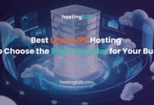 Best Linux Hosting: How to Choose the Right Provider for Your Business