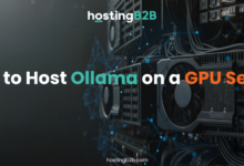 How to Host Ollama on a GPU Server