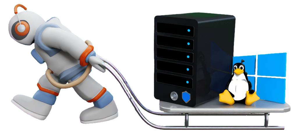 Dedicated Server Hosting